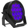 elation_professional_six